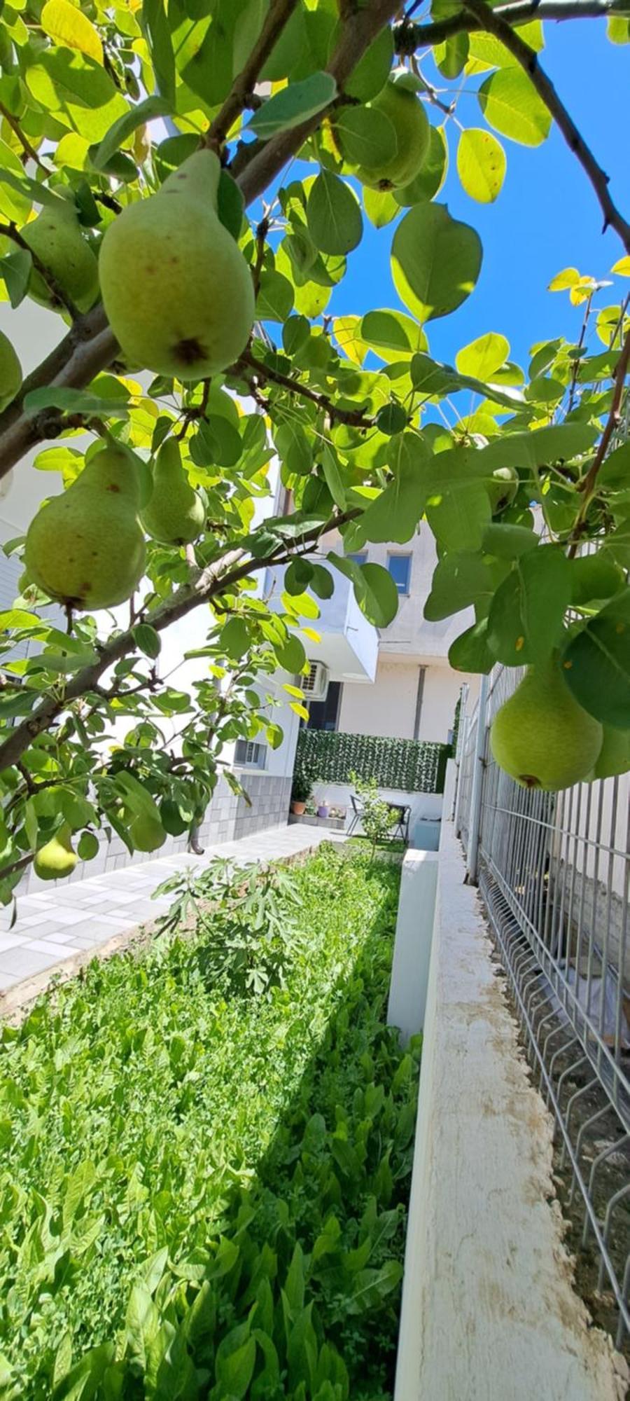 Villa Likaj Berat Rom bilde
